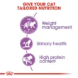 royal-canin-gatos-esterilizado-quito-agropets-beneficios