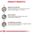 royal-canin-gatos-gastrointestinal-quito-agropets-beneficios