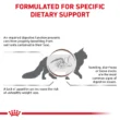 royal-canin-gatos-gastrointestinal-quito-agropets-formulado