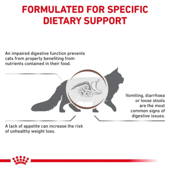 royal-canin-gatos-gastrointestinal-quito-agropets-formulado