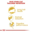 royal-canin-gatos-persian-quito-agropets-informacion