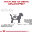 royal-canin-renal-perros-adultos-mini-quito-agropets-informacion