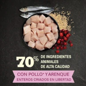 acana-first-feast-gatito-quito-agropets-ingredientes