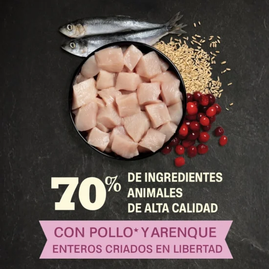 acana-first-feast-gatito-quito-agropets-ingredientes acana-first-feast-gatito-quito-agropets-ingredientes